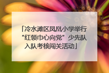 冷水滩区凤凰小学举行“红领巾心向党”少先队入队考核闯关活动